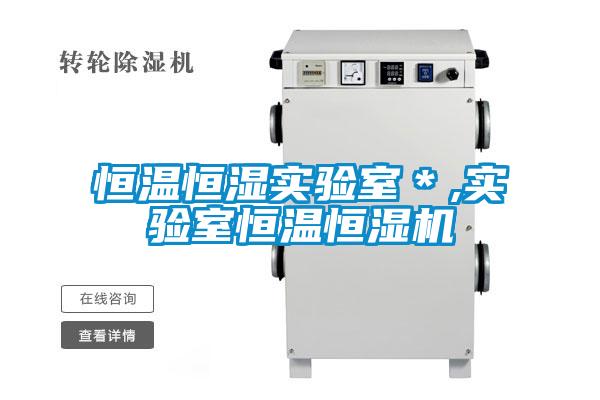 恒溫恒濕實驗室*,實驗室恒溫恒濕機