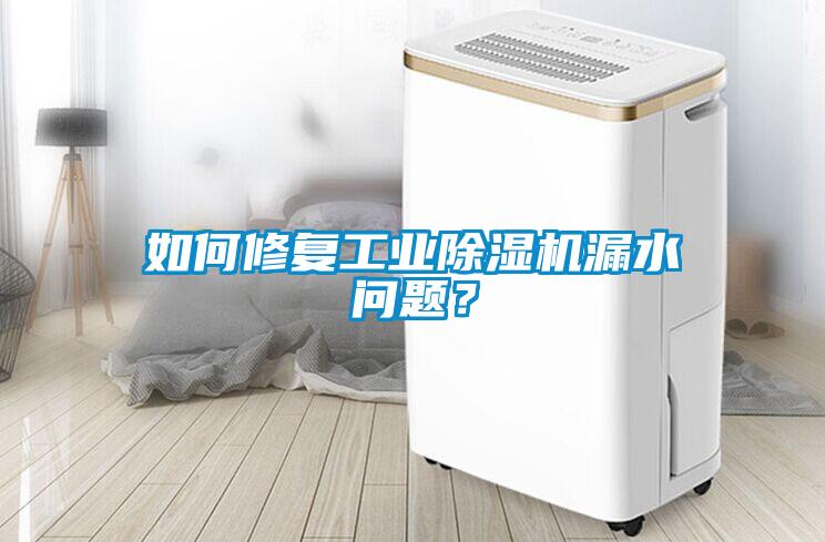 如何修復(fù)工業(yè)除濕機(jī)漏水問(wèn)題?