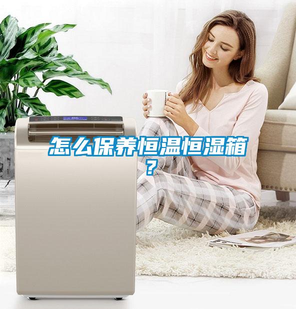 怎么保養(yǎng)恒溫恒濕箱?