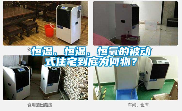 恒溫、恒濕、恒氧的被動(dòng)式住宅到底為何物?