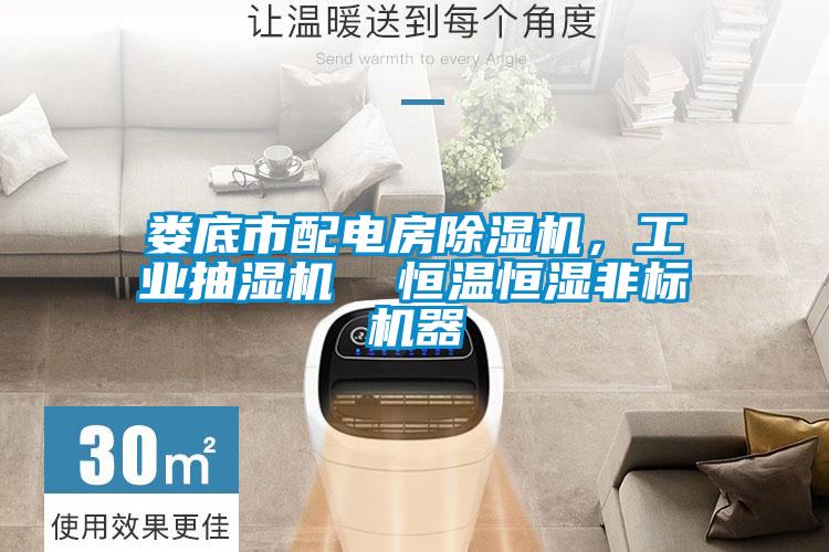 婁底市配電房除濕機(jī),工業(yè)抽濕機(jī)  恒溫恒濕非標(biāo)機(jī)器