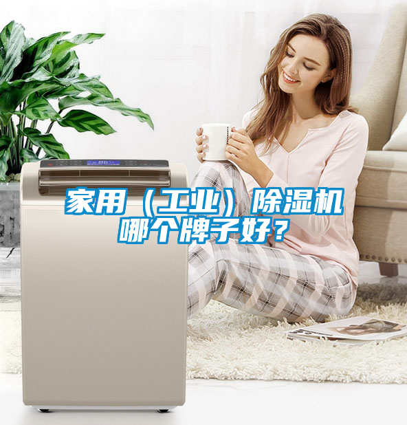 家用(工業(yè))除濕機(jī)哪個牌子好?