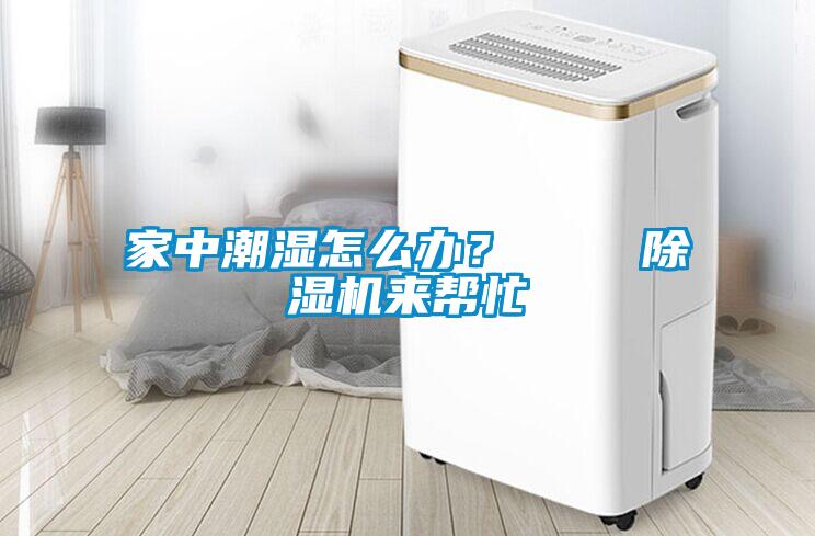 家中潮濕怎么辦?    除濕機(jī)來幫忙