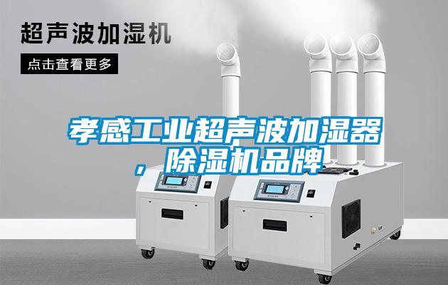 孝感工業(yè)超聲波加濕器,除濕機品牌