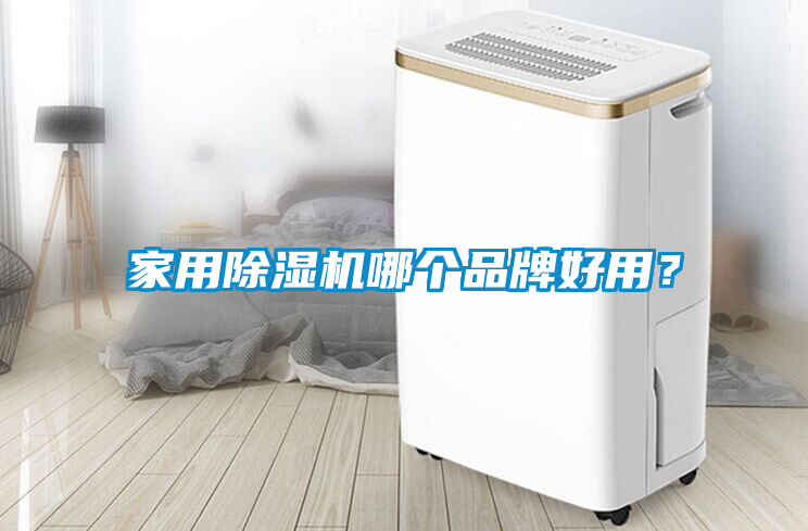家用除濕機哪個品牌好用？