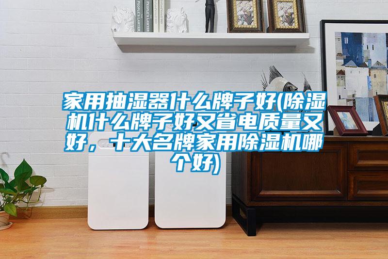 家用抽濕器什么牌子好(除濕機(jī)什么牌子好又省電質(zhì)量又好,十大名牌家用除濕機(jī)哪個(gè)好)
