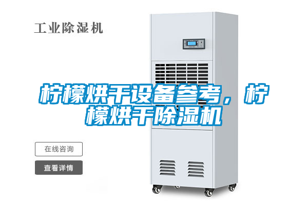 檸檬烘干設(shè)備參考,檸檬烘干除濕機(jī)