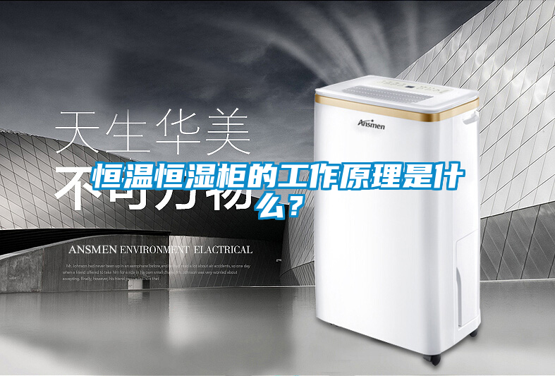 恒溫恒濕柜的工作原理是什么?