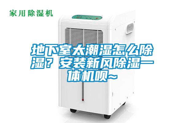 地下室太潮濕怎么除濕?安裝新風除濕一體機唄~