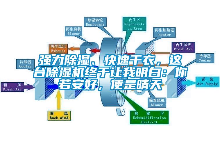 強力除濕、快速干衣,這臺除濕機終于讓我明白:你若安好,便是晴天
