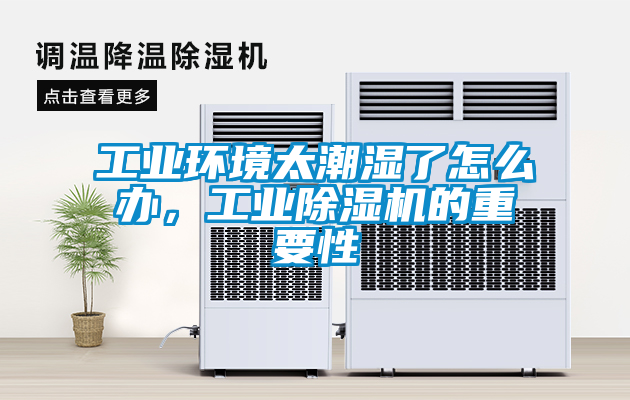 工業環境太潮濕了怎么辦,工業除濕機的重要性