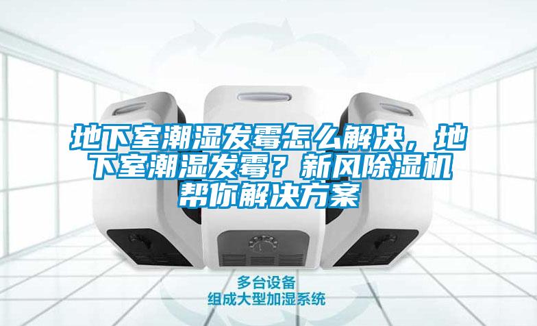 地下室潮濕發霉怎么解決，地下室潮濕發霉？新風除濕機幫你解決方案