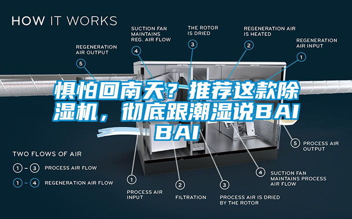 懼怕回南天?推薦這款除濕機,徹底跟潮濕說BAIBAI