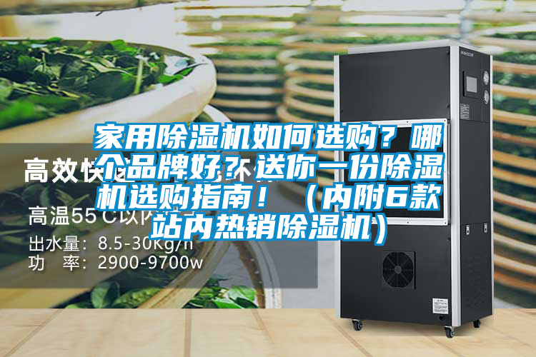 家用除濕機如何選購?哪個品牌好?送你一份除濕機選購指南!(內附6款站內熱銷除濕機)
