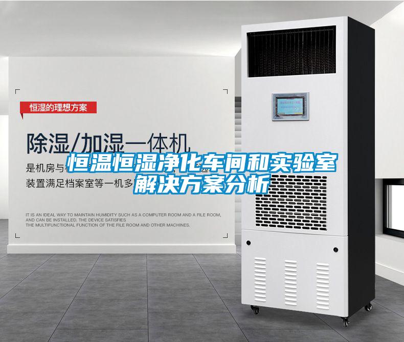恒溫恒濕凈化車間和實(shí)驗室解決方案分析