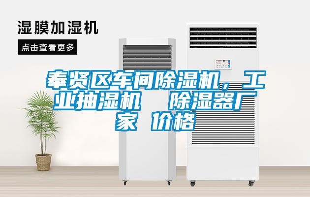 奉賢區車間除濕機,工業抽濕機  除濕器廠家 價格