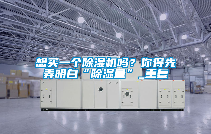 想買(mǎi)一個(gè)除濕機(jī)嗎?你得先弄明白“除濕量”_重復(fù)