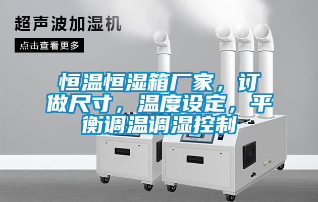 恒溫恒濕箱廠家,訂做尺寸,溫度設(shè)定,平衡調(diào)溫調(diào)濕控制