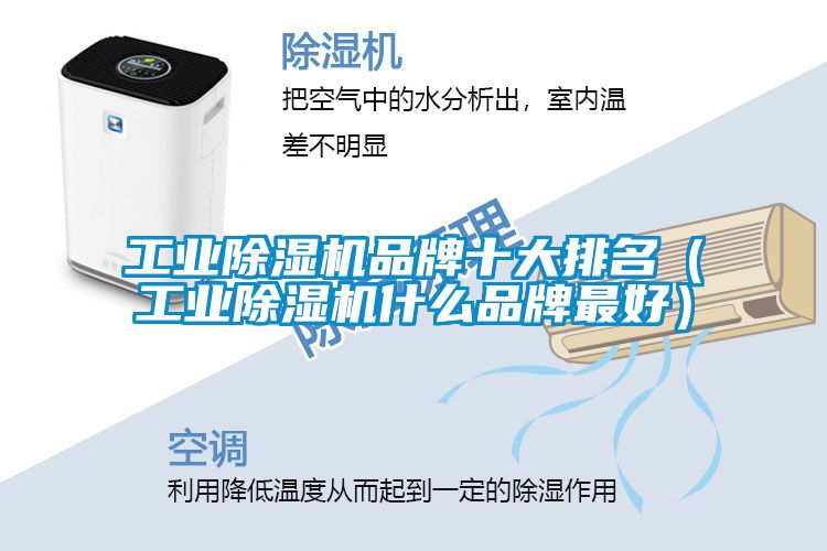 工業(yè)除濕機品牌十大排名(工業(yè)除濕機什么品牌最好)