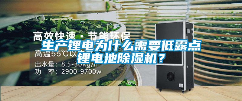 生產鋰電為什么需要低露點鋰電池除濕機？