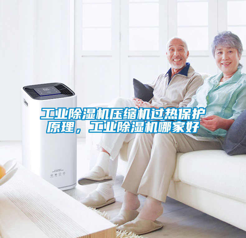 工業(yè)除濕機(jī)壓縮機(jī)過(guò)熱保護(hù)原理,工業(yè)除濕機(jī)哪家好