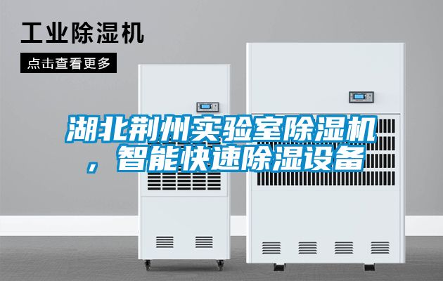 湖北荊州實驗室除濕機,智能快速除濕設(shè)備