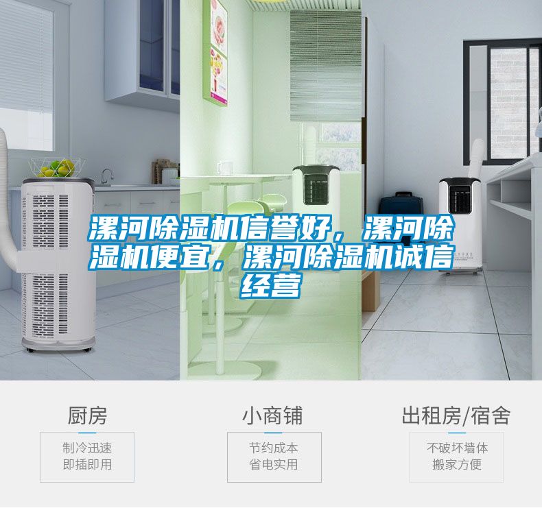 漯河除濕機信譽好,漯河除濕機便宜,漯河除濕機誠信經營