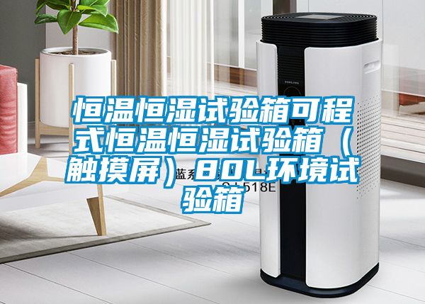恒溫恒濕試驗(yàn)箱可程式恒溫恒濕試驗(yàn)箱(觸摸屏)80L環(huán)境試驗(yàn)箱