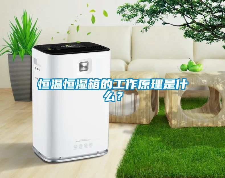 恒溫恒濕箱的工作原理是什么?