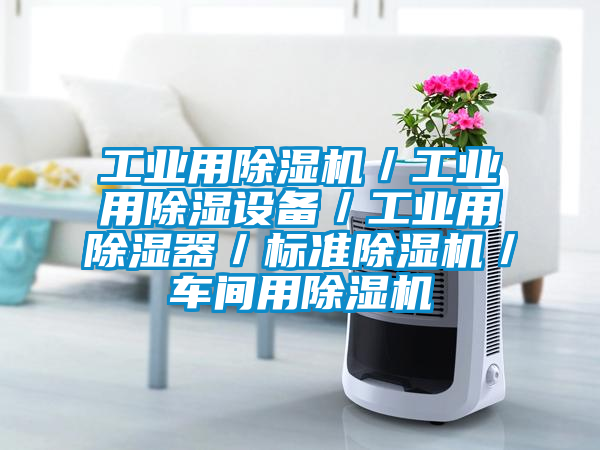 工業(yè)用除濕機/工業(yè)用除濕設(shè)備/工業(yè)用除濕器/標(biāo)準(zhǔn)除濕機/車間用除濕機