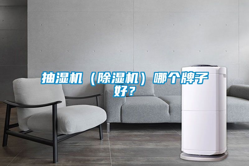 抽濕機(除濕機)哪個牌子好?