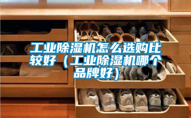 工業除濕機怎么選購比較好(工業除濕機哪個品牌好)