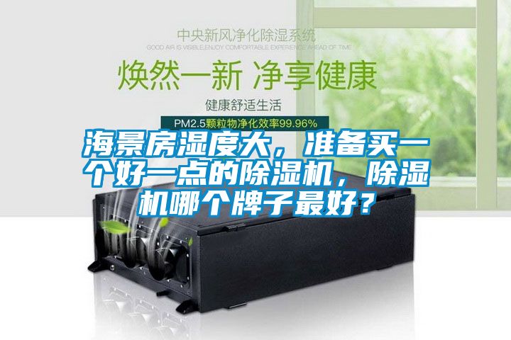 海景房濕度大,準(zhǔn)備買(mǎi)一個(gè)好一點(diǎn)的除濕機(jī),除濕機(jī)哪個(gè)牌子最好?