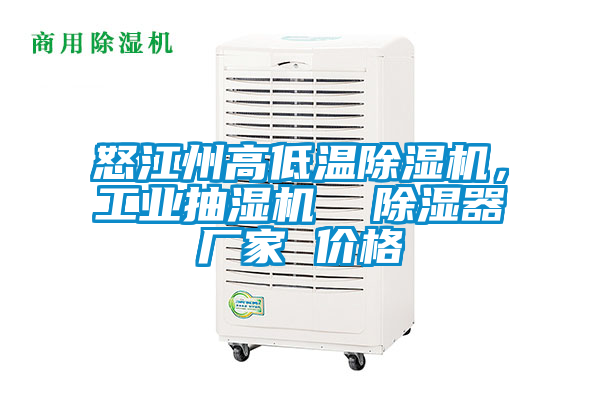 怒江州高低溫除濕機,工業(yè)抽濕機  除濕器廠家 價格