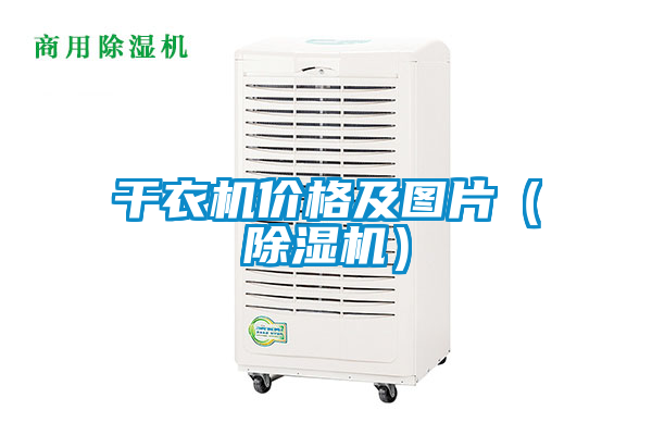 干衣機價格及圖片(除濕機)