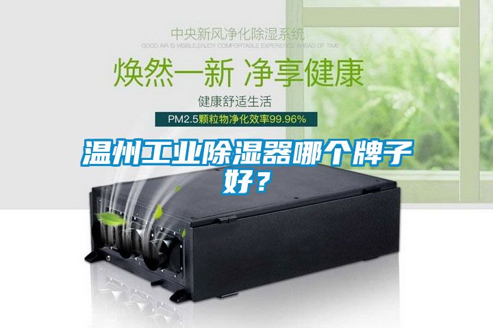 溫州工業除濕器哪個牌子好?