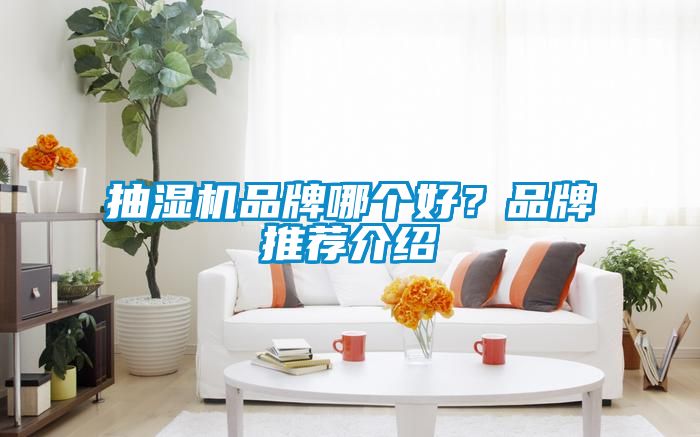抽濕機(jī)品牌哪個好?品牌推薦介紹