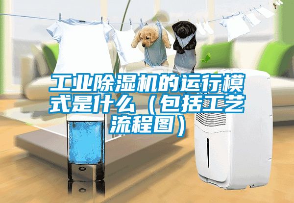 工業除濕機的運行模式是什么(包括工藝流程圖)