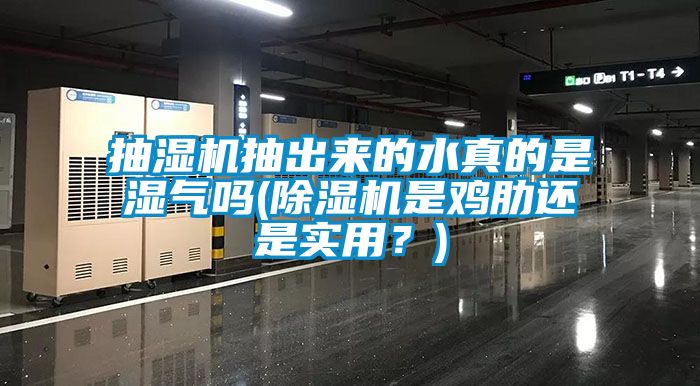 抽濕機抽出來的水真的是濕氣嗎(除濕機是雞肋還是實用?)