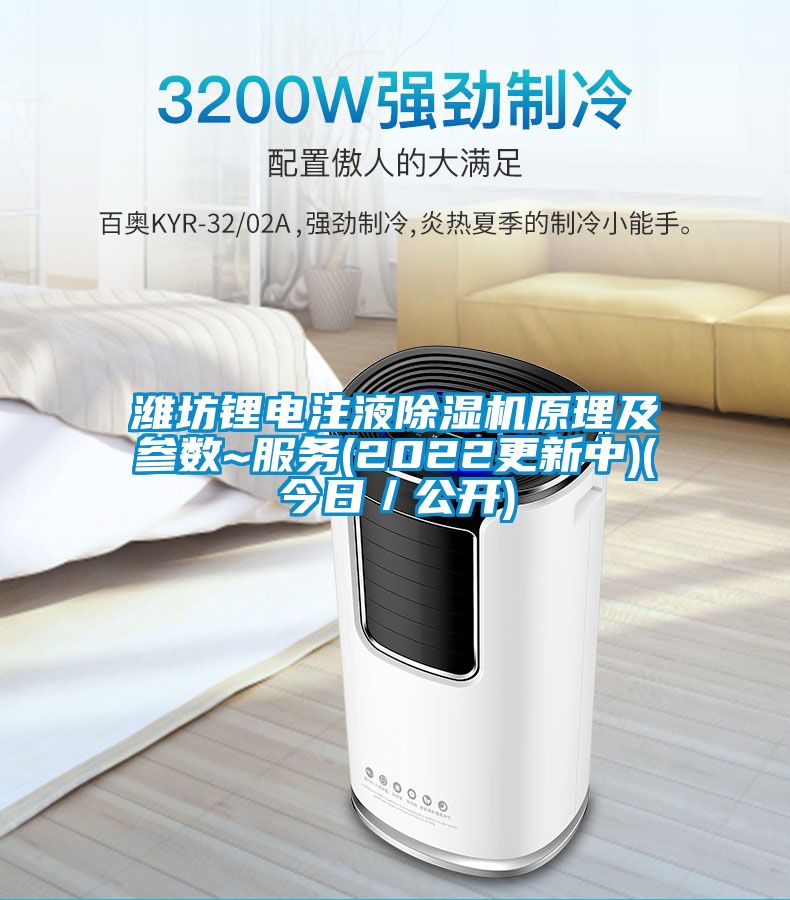 濰坊鋰電注液除濕機原理及參數~服務(2022更新中)(今日/公開)