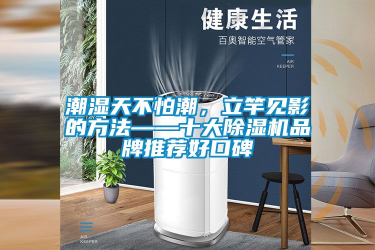 潮濕天不怕潮,立竿見影的方法——十大除濕機品牌推薦好口碑