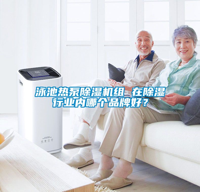 泳池熱泵除濕機組 在除濕行業內哪個品牌好?