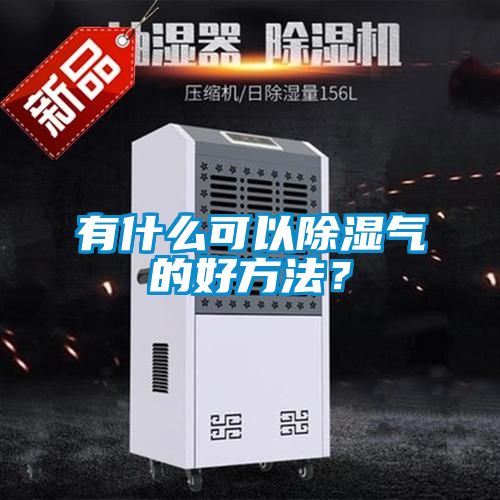 有什么可以除濕氣的好方法?