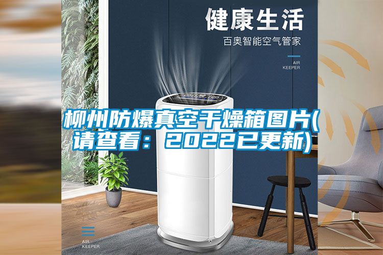 柳州防爆真空干燥箱圖片(請(qǐng)查看:2022已更新)
