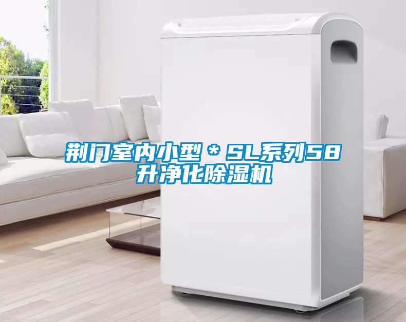 荊門(mén)室內(nèi)小型*SL系列58升凈化除濕機(jī)