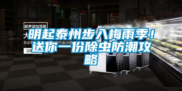 明起泰州步入梅雨季!送你一份除蟲防潮攻略