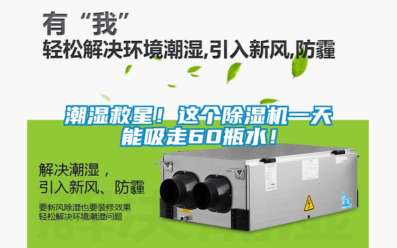 潮濕救星！這個除濕機一天能吸走60瓶水！