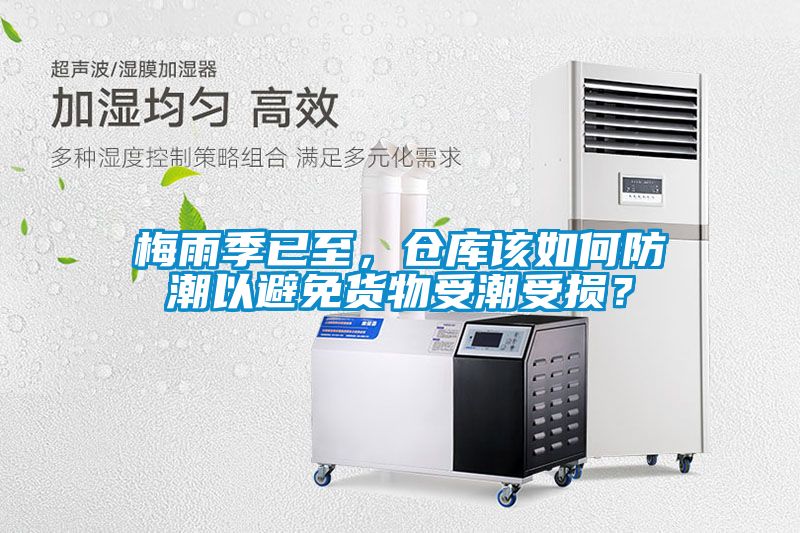 梅雨季已至,倉庫該如何防潮以避免貨物受潮受損?