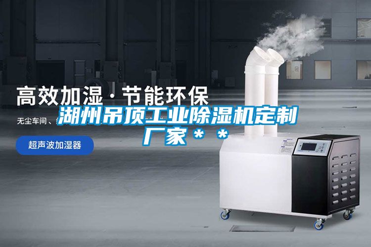 湖州吊頂工業除濕機定制 廠家**