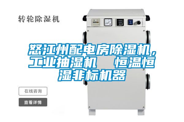 怒江州配電房除濕機,工業抽濕機  恒溫恒濕非標機器